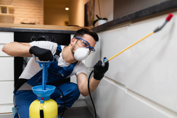 Best Insect Control  in Atwater, CA