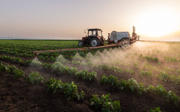 Pest Control Cost in Atwater, CA