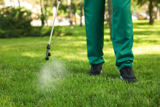 Best Pest Control Near Me in Atwater, CA