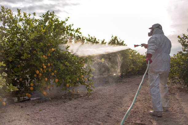 Best Affordable Pest Control Services  in Atwater, CA